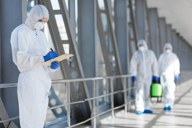 Best Attic Mold Removal  in Farm Loop, AK