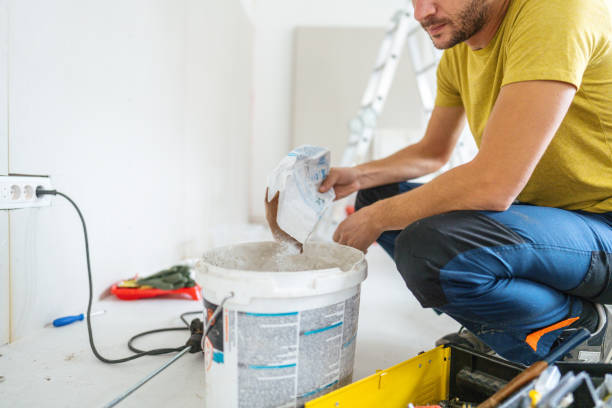 Best Mold Odor Removal Services  in Farm Loop, AK