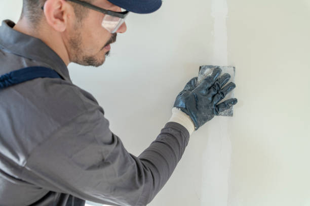 Best Mold Documentation for Insurance Claims  in Farm Loop, AK